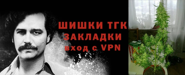 Альфа ПВП Богородицк