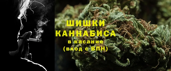 Альфа ПВП Богородицк