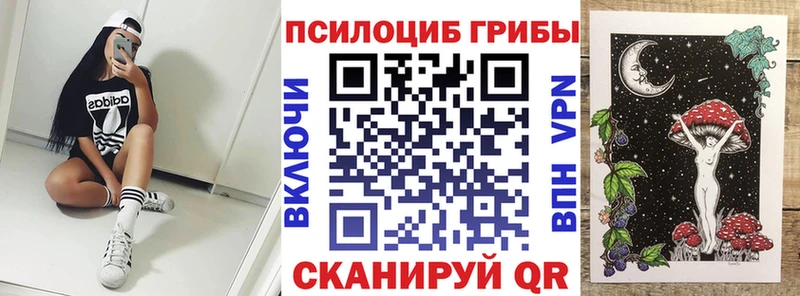 Псилоцибиновые грибы ЛСД  Купить закладки  Строитель 